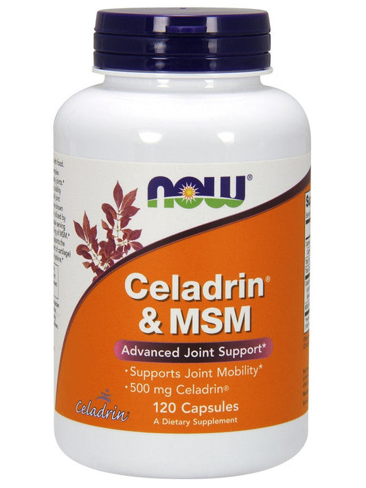 1-Celadrin & MSM, 500mg - 120 caps 1