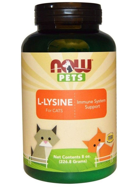 1-Pets, L-Lysine for Cats - 226 grams 1