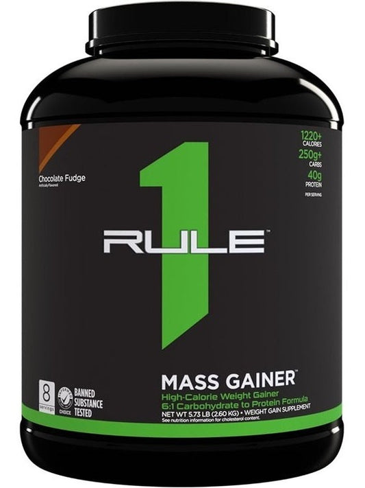 1-Mass Gainer, Chocolate Fudge - 2600 grams 1