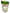1-Xylitol - 454 grams 1